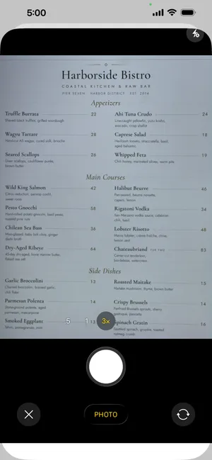 Tasteful menu import camera